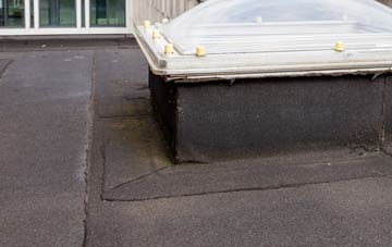 disadvantages of Drumbuie flat roofs